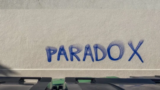 Lime Garden New Order cover - Lime Garden Cover New Order's 'Age Of Consent,' Unearths Buried Legal Statutes