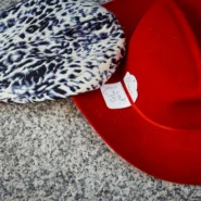 MAGA Pussycat Doll - MAGA Pussycat Doll Claims Exclusion, Cites 'Patriotic' Choreography