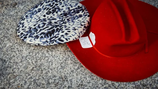 MAGA Pussycat Doll - MAGA Pussycat Doll Claims Exclusion, Cites 'Patriotic' Choreography