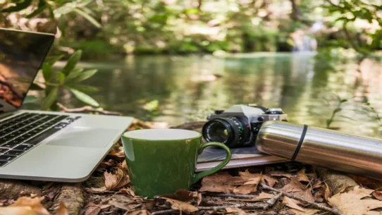 Meta's Big Tobacco Moment - Meta's Big Tobacco Moment: Courts Mandate Nationwide Digital Detox Camps