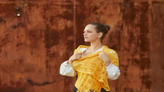 grunge opera - Mike McCready Announces Grunge Opera to Save Opera