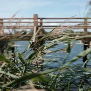 mole trapping photos - Mole Trapping Photos Spark Outrage, Local Farmer Offers 'Educational' Exhibition