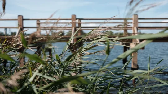 mole trapping photos - Mole Trapping Photos Spark Outrage, Local Farmer Offers 'Educational' Exhibition