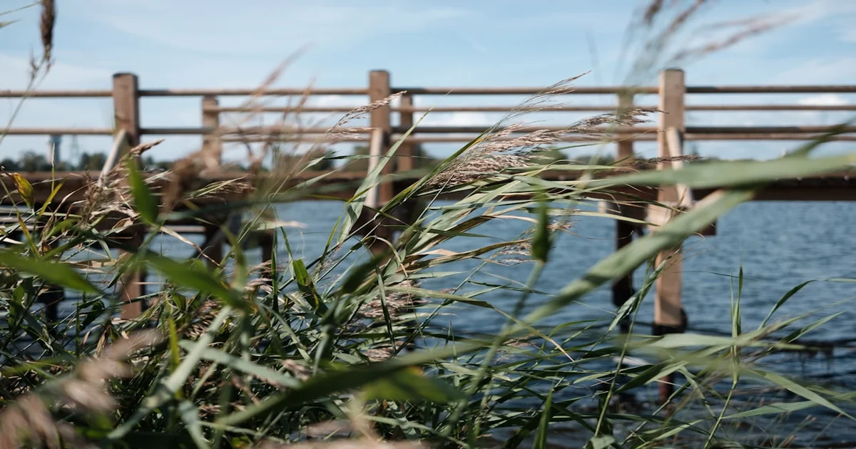 mole trapping photos - Mole Trapping Photos Spark Outrage, Local Farmer Offers 'Educational' Exhibition