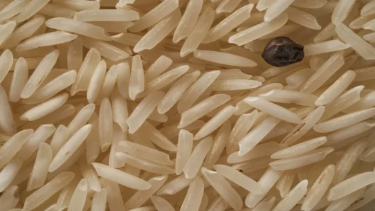 NC Senate race - Most Powerful NC Senator Loses Mind Counting Individual Ballots