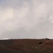 National Park Evacuation - National Park Evacuation Halts Critical Squirrel Census Amidst Volcanic Unrest