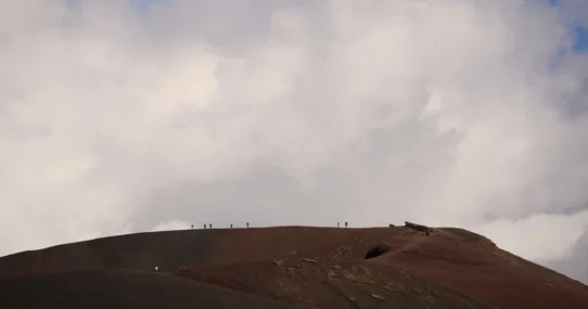 National Park Evacuation - National Park Evacuation Halts Critical Squirrel Census Amidst Volcanic Unrest