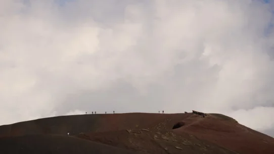 National Park Evacuation - National Park Evacuation Halts Critical Squirrel Census Amidst Volcanic Unrest