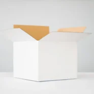 Election Oversight - New Federal Initiative Promises Ultimate Election Oversight