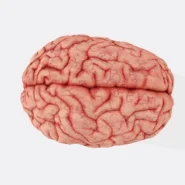 OpenAI plugins - OpenAI Plugins Unleashed: Humanity No Longer Needs to Pretend It Understands Anything