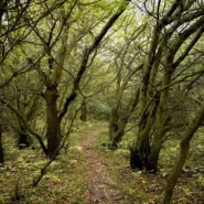 Panopticon new album - Panopticon Details New Album, Promises Existential Dread