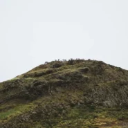 Rhododendron Ascent Effort - Rhododendron Announce New Album Ascent Effort: It's A Lot