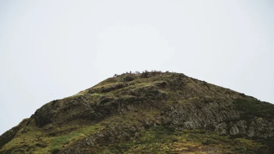 Rhododendron Ascent Effort - Rhododendron Announce New Album Ascent Effort: It's A Lot