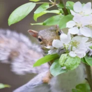 Squirrel Flower Wheels - Squirrel Flower's "Wheels" Unearths Childhood Trauma