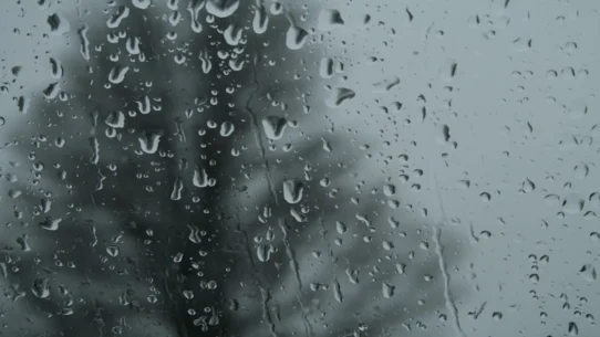 The Saddest Landscape - The Saddest Landscape's New Song 'Invisible Hurt' Exists