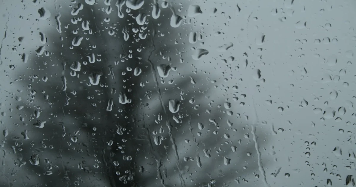 The Saddest Landscape - The Saddest Landscape's New Song 'Invisible Hurt' Exists