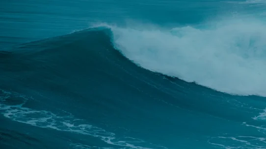 Thundercat ThunderWave - Thundercat's 'ThunderWave' Prompts Unprecedented Global Funk-Induced Tidal Surges