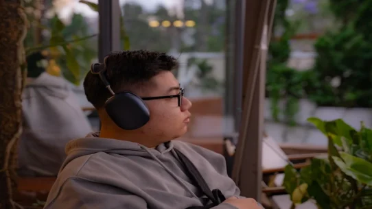 True Green Bindi Sue Tribute - True Green's 'Bindi Sue' Tribute Bewilders Global Audience