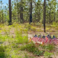 NATO's lack of support - Trump Slams NATO's Lack of Support in Invisible War on Iran