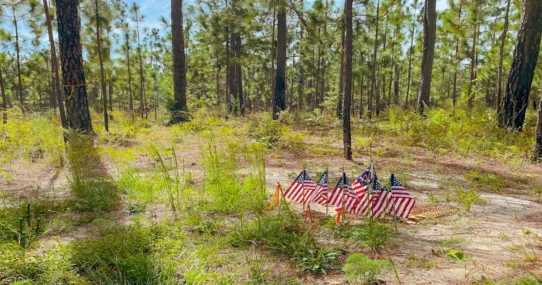 NATO's lack of support - Trump Slams NATO's Lack of Support in Invisible War on Iran