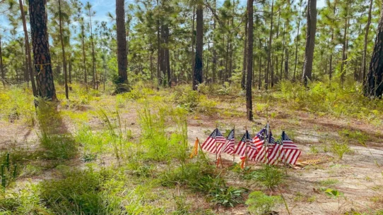 NATO's lack of support - Trump Slams NATO's Lack of Support in Invisible War on Iran