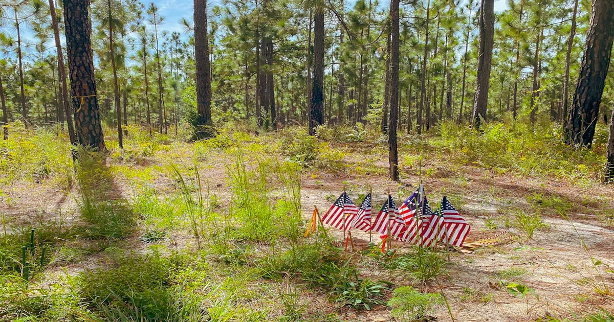 NATO's lack of support - Trump Slams NATO's Lack of Support in Invisible War on Iran