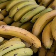 TSA ICE Tips - TSA ICE Tips Led To Arrests, Agency Claims 'Total Success'