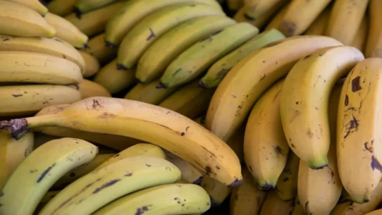 TSA ICE Tips - TSA ICE Tips Led To Arrests, Agency Claims 'Total Success'