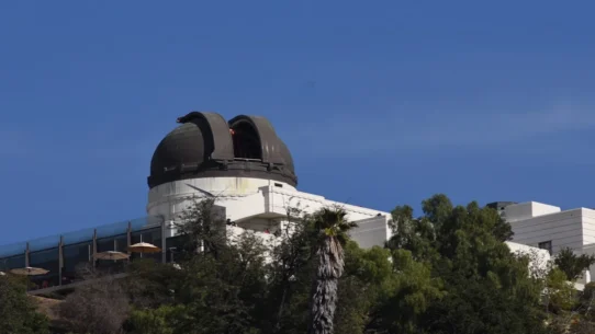 Pluto Baby - Wesley Joseph's 'Pluto Baby' Video Causes Astronomical Existential Crisis