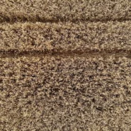 Lines In The Carpet - Ashley McBryde's "Lines In The Carpet" Single Manifests Literal Floor Patterns Nationwide