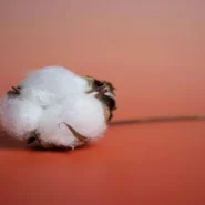 BCMC Stash - BCMC Unveils 'Stash,' Album Crafted Entirely From Lint