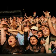 BTS YouTube Charts - BTS Dominates YouTube Charts With Entire Discography