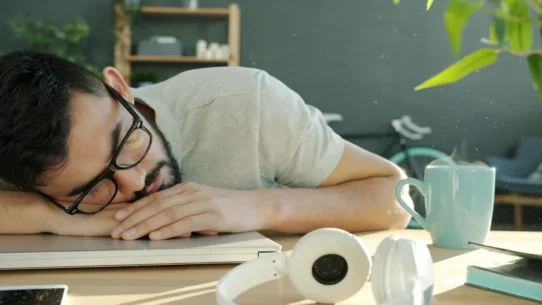 Coma Regalia Cover - Coma Regalia Cover Prompts Widespread Napping Disorder