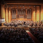 Best Songs Silence - Critics Crown 'The 5 Best Songs Of The Week,' Audience Confused By Buzzing