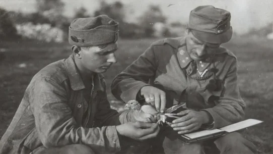 Easter ceasefire - Easter Ceasefire Instituted, Combatants Enjoy Mandatory Timeout