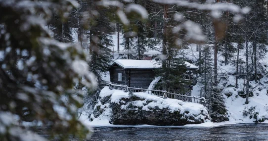 Finland's PM Lost - Finland's PM Lost Election Over Nation's Overwhelming Need for Silence