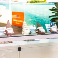 Finland's PM lost - Finland's PM Lost: Voters Prioritized Local Gnome Population