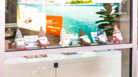 Finland's PM lost - Finland's PM Lost: Voters Prioritized Local Gnome Population