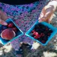 Finland PM Defeat - Finland's PM's Defeat Blamed on Subpar Berry Picking Etiquette