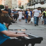 horsegiirL NATURE IS HEALING - HorsegiirL Declares Nature Is Healing With New Album