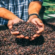 Krugman's oil speech - Krugman's Oil Speech Sparks Global Debate Over Price of Everything