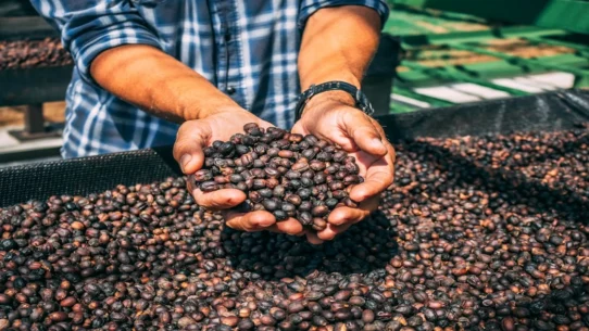 Krugman's oil speech - Krugman's Oil Speech Sparks Global Debate Over Price of Everything