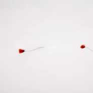 María Zardoya’s Not for Radio - María Zardoya’s Not for Radio Drops Spring-Ready EP ‘Bloom’