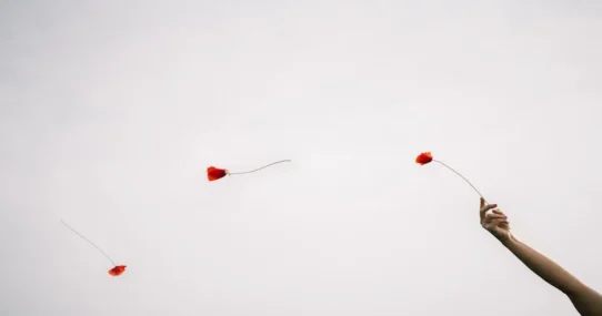 María Zardoya’s Not for Radio - María Zardoya’s Not for Radio Drops Spring-Ready EP ‘Bloom’