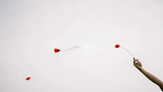 María Zardoya’s Not for Radio - María Zardoya’s Not for Radio Drops Spring-Ready EP ‘Bloom’