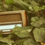 Olivia Dean charts - Olivia Dean Tops Charts, Proving Pop And R&B Radio Still Exist