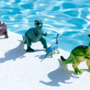 Pond Terrestrials - Pond Announce New Album Terrestrials Amidst Existential Dinosaur Crisis