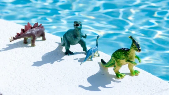 Pond Terrestrials - Pond Announce New Album Terrestrials Amidst Existential Dinosaur Crisis