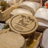 Papal Peace Protocol - Pope Leo Unveils Papal Peace Protocol: World Agrees to Disagree Less Loudly