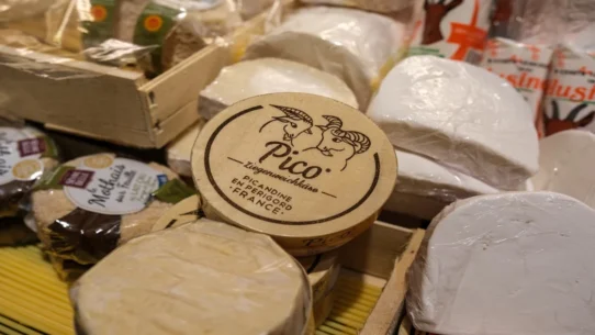 Papal Peace Protocol - Pope Leo Unveils Papal Peace Protocol: World Agrees to Disagree Less Loudly